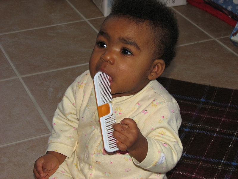 Xmas_2008_032.JPG - Time out for a tasty comb snack!