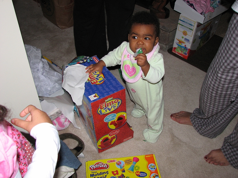 Xmas_2008_212.JPG - Hmmm....I wonder what it tastes like....anyone watchin'?