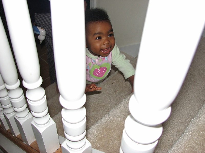 Xmas_2008_214.JPG