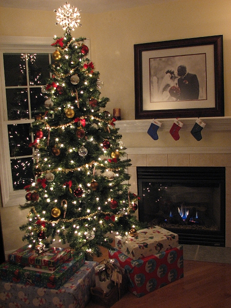 Xmas_Pics_056.JPG - Tada!  The Clarke & James very first Christmas tree as a couple...and the first in our current home. I had a professional come in to stage the shot.  ;-)