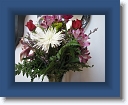 Kassidy_Kamille_pics_059 * 2816 x 2112 * (1.7MB)